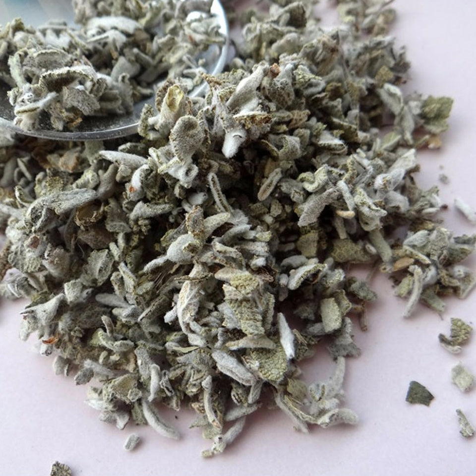 White Sage for Healing, Meditation and Purification