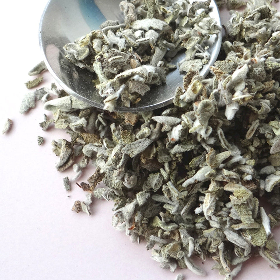White Sage for Healing, Meditation and Purification